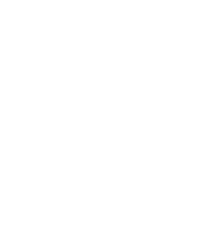 Projekt